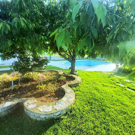 Kaja House Apartments Lozovac Esterno foto