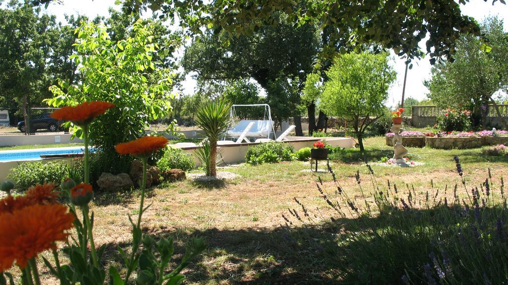 Kaja House Apartments Lozovac Esterno foto